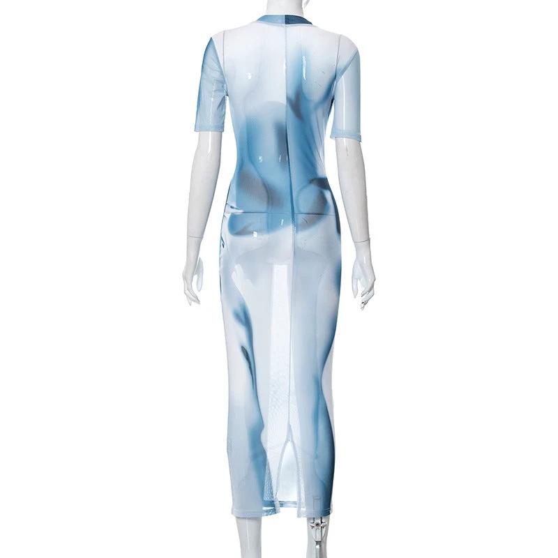 Mesh Print Round Neck Long Dress by GJG Denim