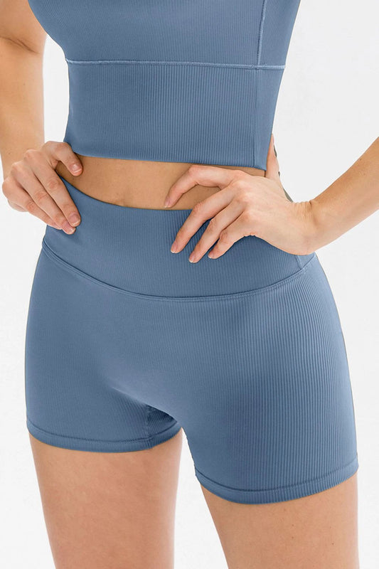 Slim Fit Wide Waistband Sports Shorts by Lady Ros