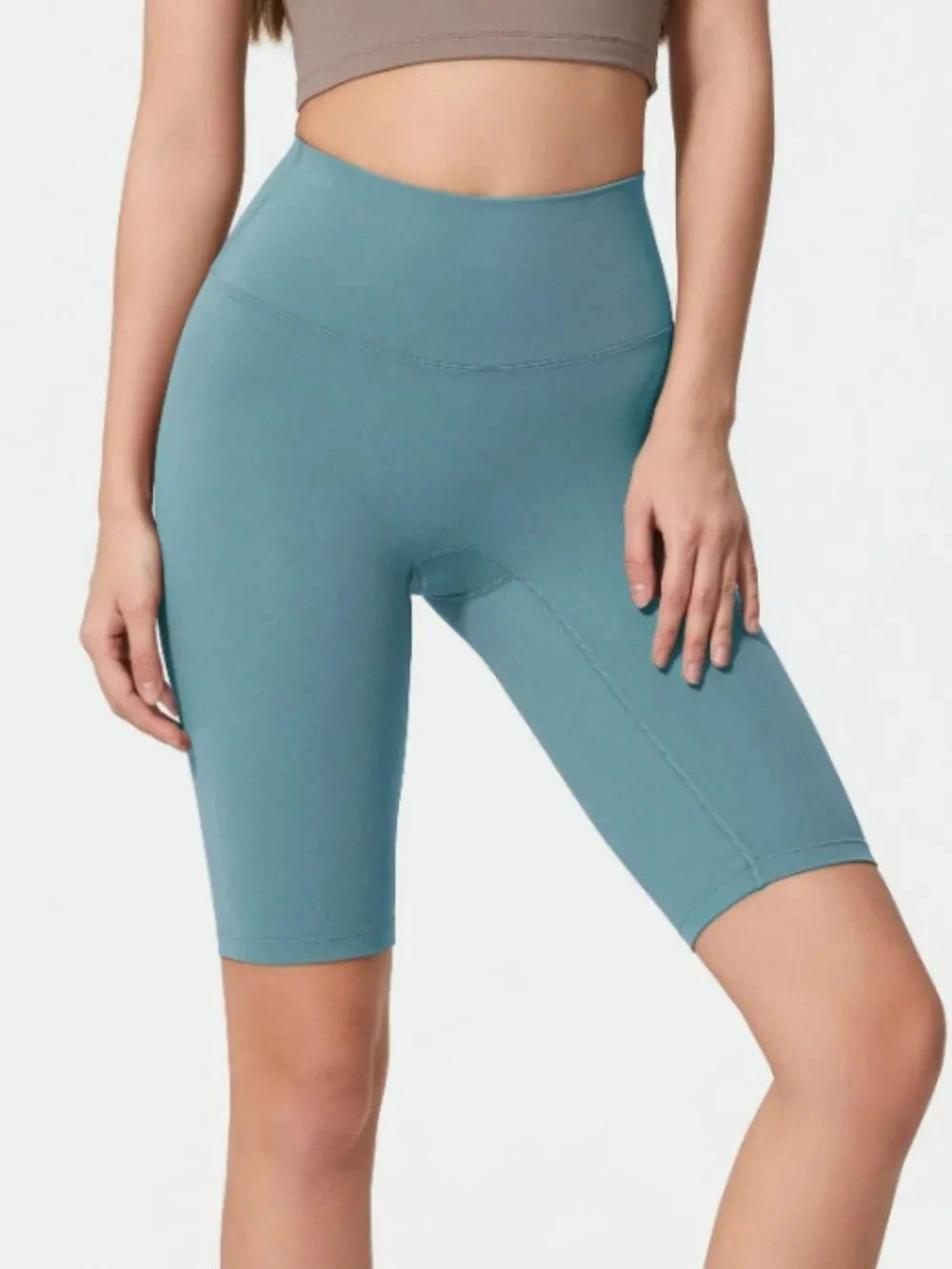 Millennia High Rise Wide Waistband Active Shorts by Lady Ros