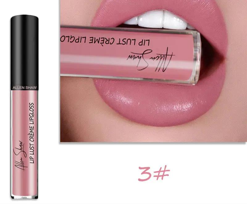 Silky Cream Texture Lip Gloss Aliexpress Shopee Cross-Border Exclusive Lip Glaze Lip Gloss Lipstick by GJG Denim