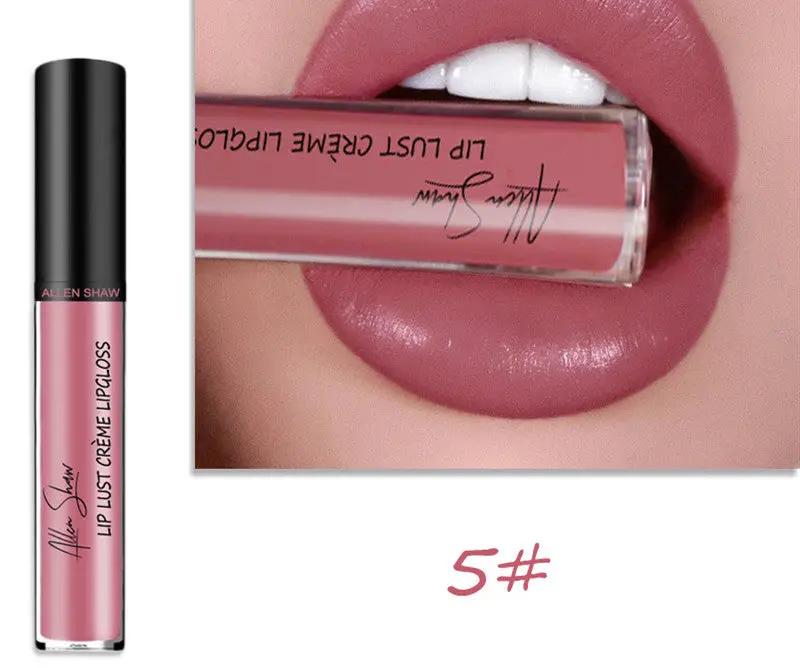 Silky Cream Texture Lip Gloss Aliexpress Shopee Cross-Border Exclusive Lip Glaze Lip Gloss Lipstick by GJG Denim