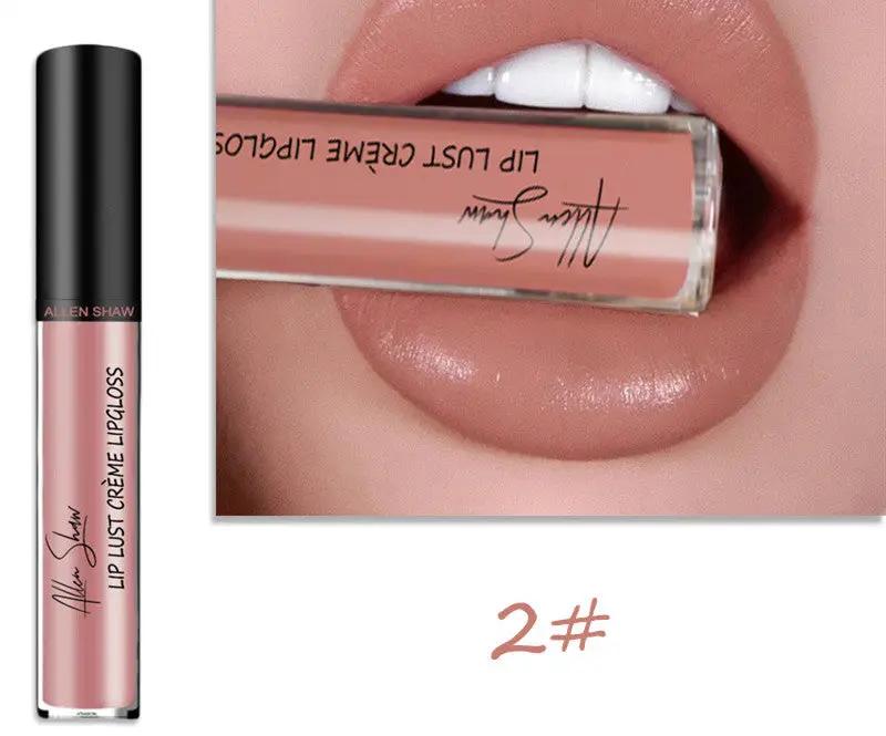 Silky Cream Texture Lip Gloss Aliexpress Shopee Cross-Border Exclusive Lip Glaze Lip Gloss Lipstick by GJG Denim