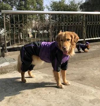 Dog Raincoat by GJG Denim