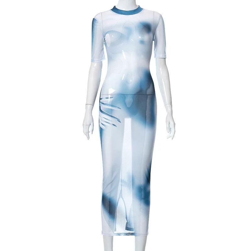 Mesh Print Round Neck Long Dress by GJG Denim