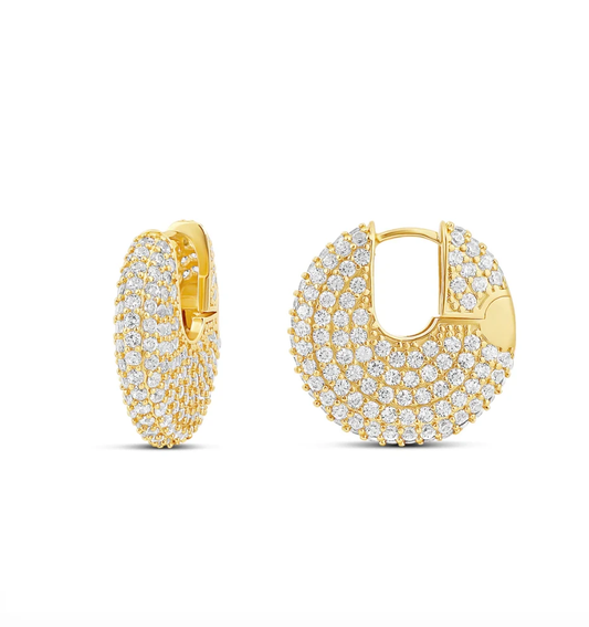 Glam Fiz Earrings by Views & Co